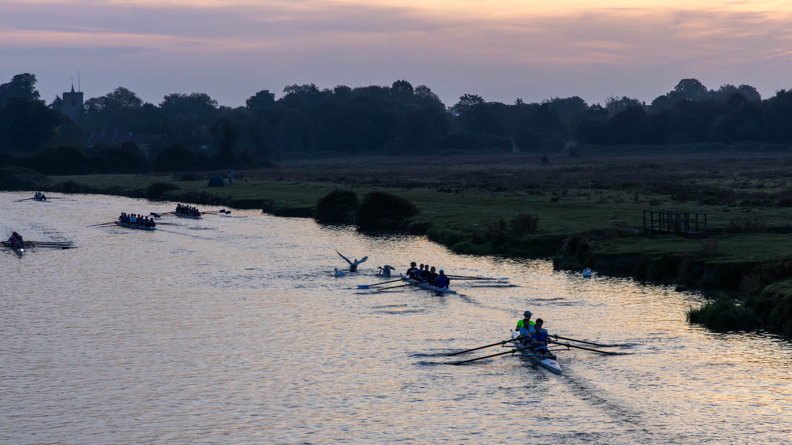 1.3 Authorship and Collaboration