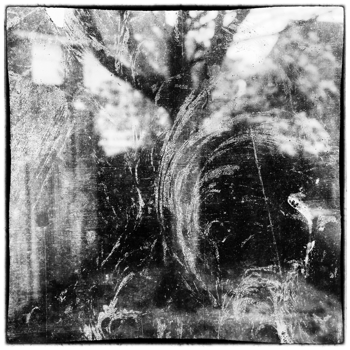 1.2 Methods and Meaning