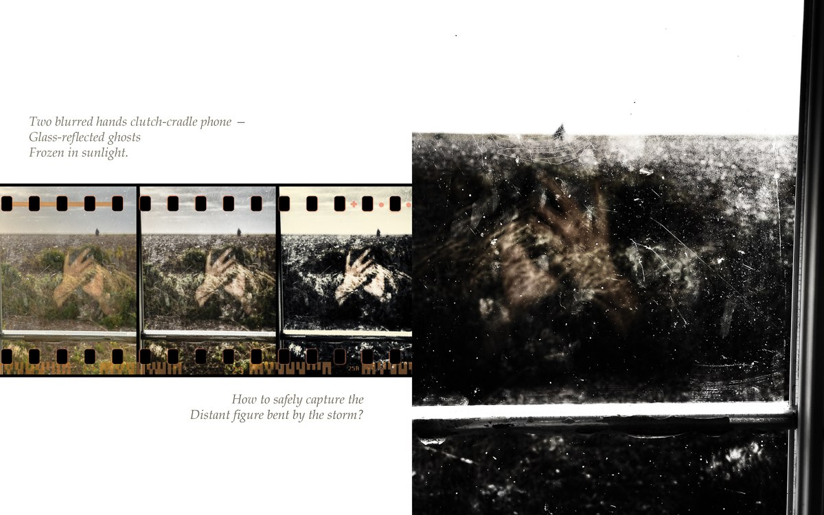 1.1 Mirrors and Reflections